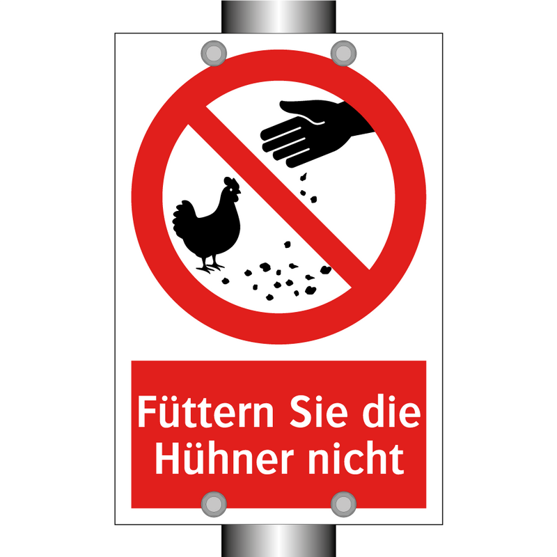 Füttern Sie die Hühner nicht