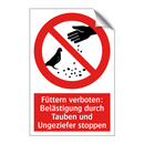 Füttern verboten: Belästigung durch Tauben und Ungeziefer stoppen