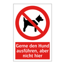 Gerne den Hund ausführen, aber nicht hier