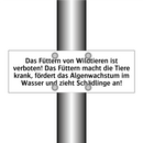 Das Füttern von Wildtieren ist verboten! Das Füttern macht die Tiere krank, fördert das Algenwachstum im Wasser und zieht Schädlinge an!