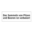 Das Sammeln von Pilzen und Beeren ist verboten!
