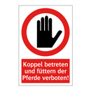 Koppel betreten und füttern der Pferde verboten!
