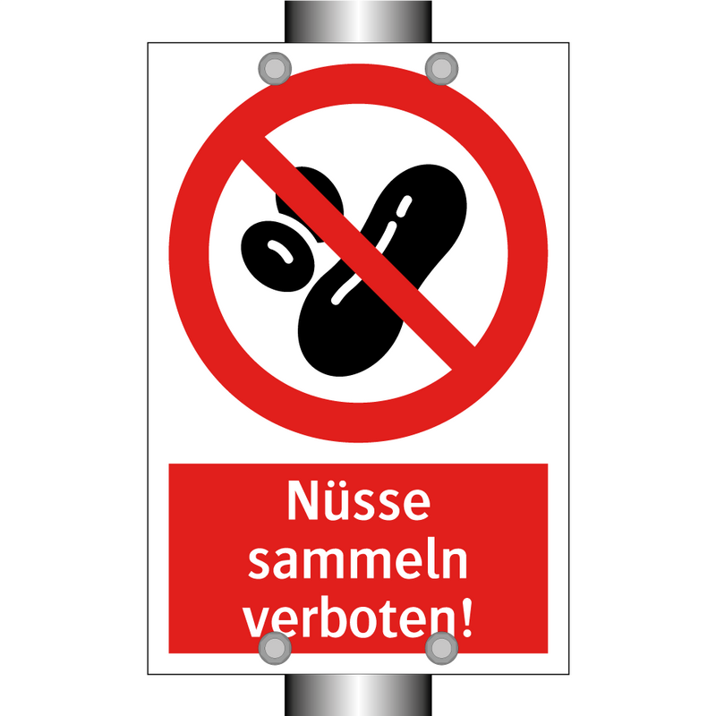 Nüsse sammeln verboten!