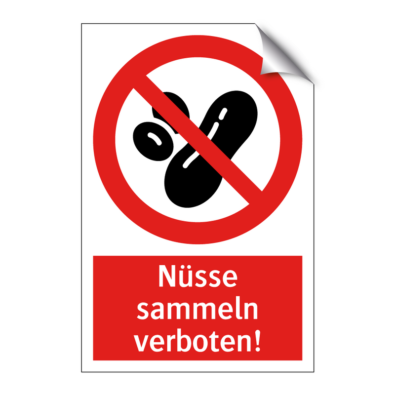 Nüsse sammeln verboten!