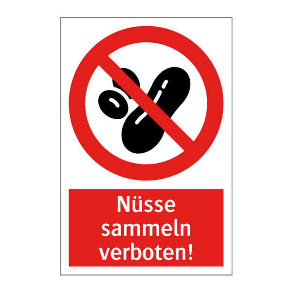 Nüsse sammeln verboten!