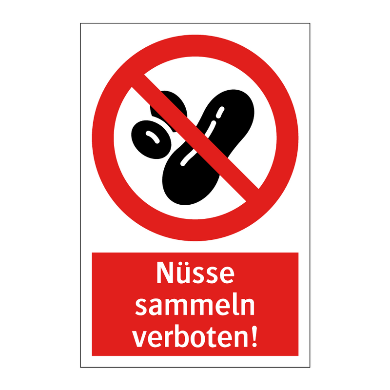 Nüsse sammeln verboten!