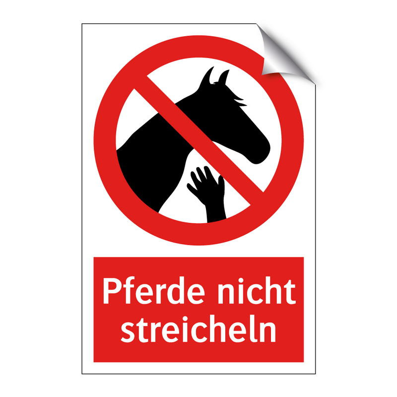 Pferde nicht streicheln