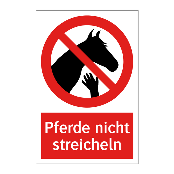 Pferde nicht streicheln