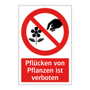 Pflücken von Pflanzen ist verboten