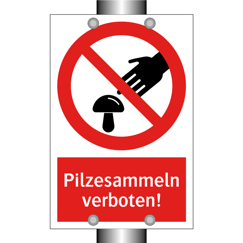 Pilzesammeln verboten!