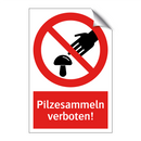 Pilzesammeln verboten!