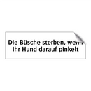 Die Büsche sterben, wenn Ihr Hund darauf pinkelt