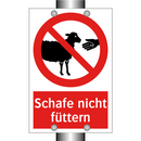 Schafe nicht füttern