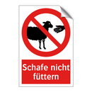 Schafe nicht füttern