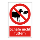 Schafe nicht füttern