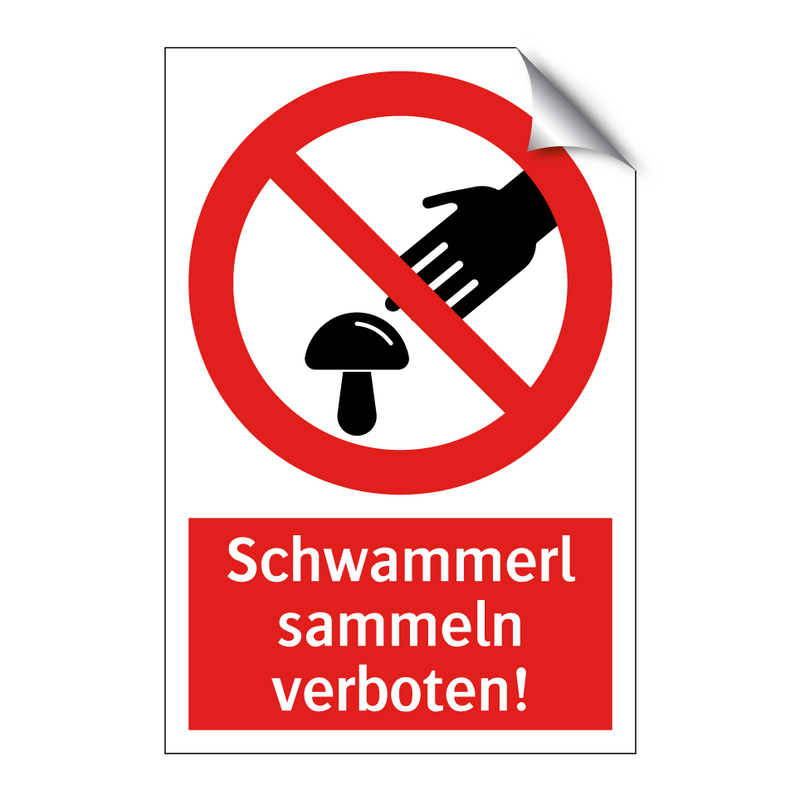 Schwammerl sammeln verboten!