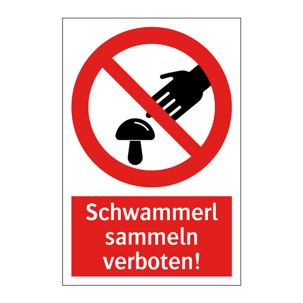 Schwammerl sammeln verboten!