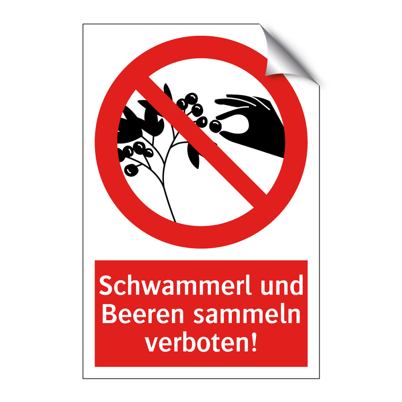 Schwammerl und Beeren sammeln verboten!