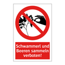 Schwammerl und Beeren sammeln verboten!