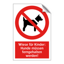 Wiese für Kinder: Hunde müssen ferngehalten werden!