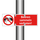 Beeren sammeln verboten!