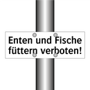 Enten und Fische füttern verboten!