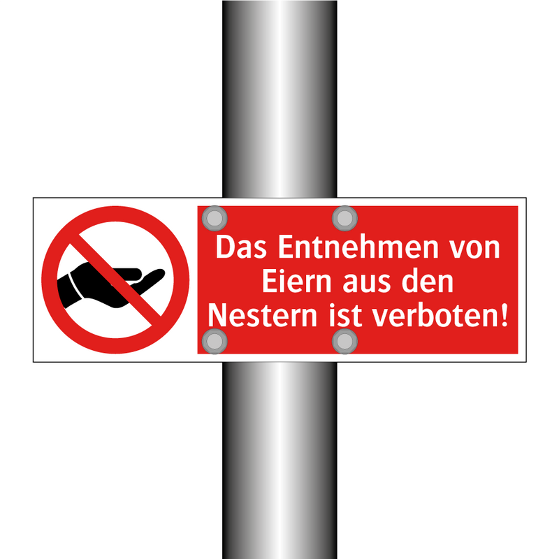 Das Entnehmen von Eiern aus den Nestern ist verboten!