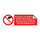 Das Füttern von Wildtieren ist verboten! Das Füttern macht die Tiere krank, fördert das Algenwachstum im Wasser und zieht Schädlinge an!