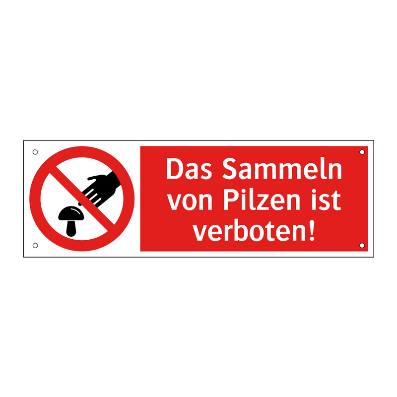 Das Sammeln von Pilzen ist verboten!