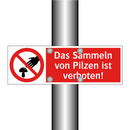 Das Sammeln von Pilzen ist verboten!