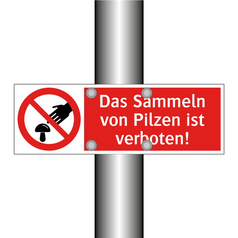 Das Sammeln von Pilzen ist verboten!