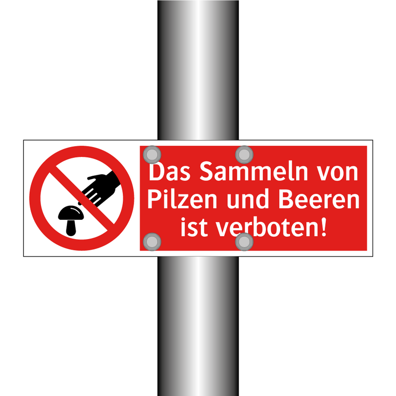 Das Sammeln von Pilzen und Beeren ist verboten!