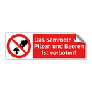 Das Sammeln von Pilzen und Beeren ist verboten!