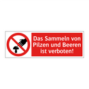 Das Sammeln von Pilzen und Beeren ist verboten!
