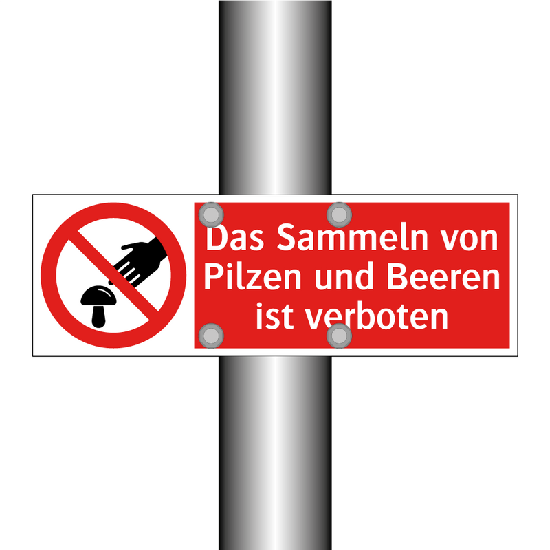 Das Sammeln von Pilzen und Beeren ist verboten
