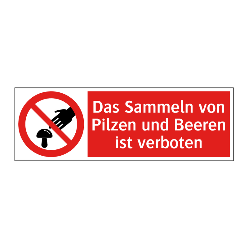 Das Sammeln von Pilzen und Beeren ist verboten