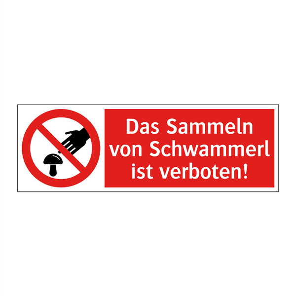Das Sammeln von Schwammerl ist verboten!
