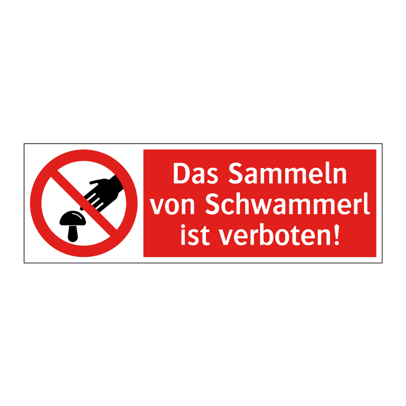Das Sammeln von Schwammerl ist verboten!