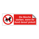 Die Büsche sterben, wenn Ihr Hund darauf pinkelt