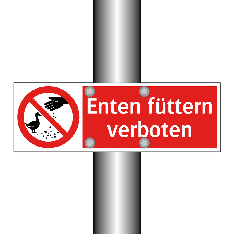 Enten füttern verboten