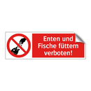 Enten und Fische füttern verboten!
