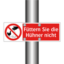 Füttern Sie die Hühner nicht