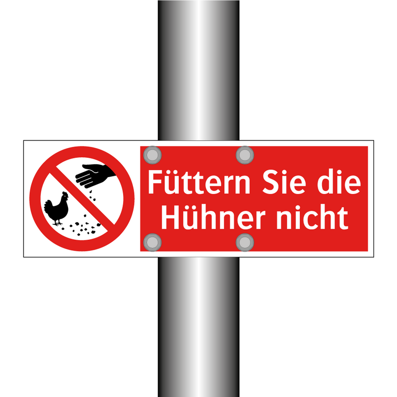 Füttern Sie die Hühner nicht