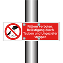 Füttern verboten: Belästigung durch Tauben und Ungeziefer stoppen