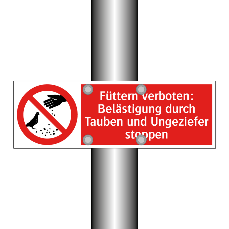 Füttern verboten: Belästigung durch Tauben und Ungeziefer stoppen