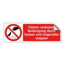 Füttern verboten: Belästigung durch Tauben und Ungeziefer stoppen