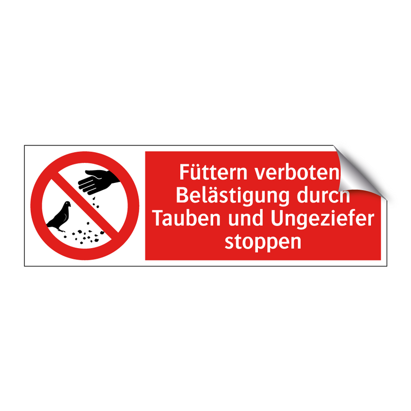 Füttern verboten: Belästigung durch Tauben und Ungeziefer stoppen