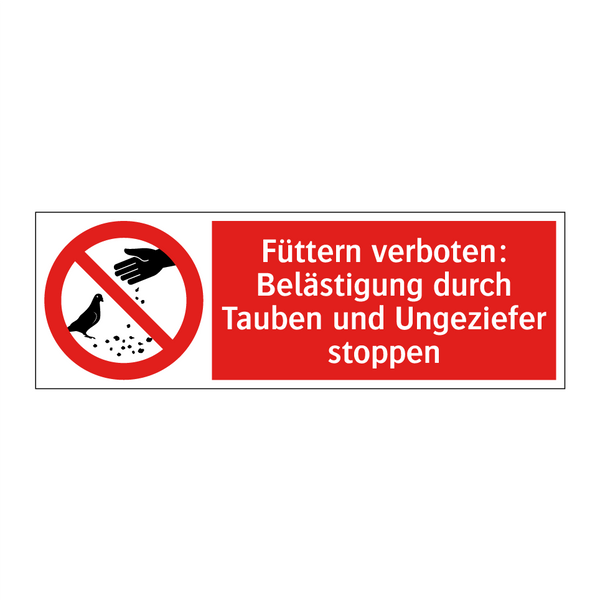 Füttern verboten: Belästigung durch Tauben und Ungeziefer stoppen