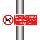 Gerne den Hund ausführen, aber nicht hier