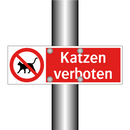 Katzen verboten